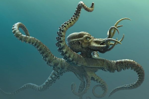 Kraken 13at