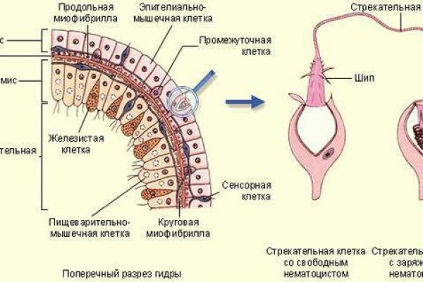 Kraken даркнет рынок ссылка